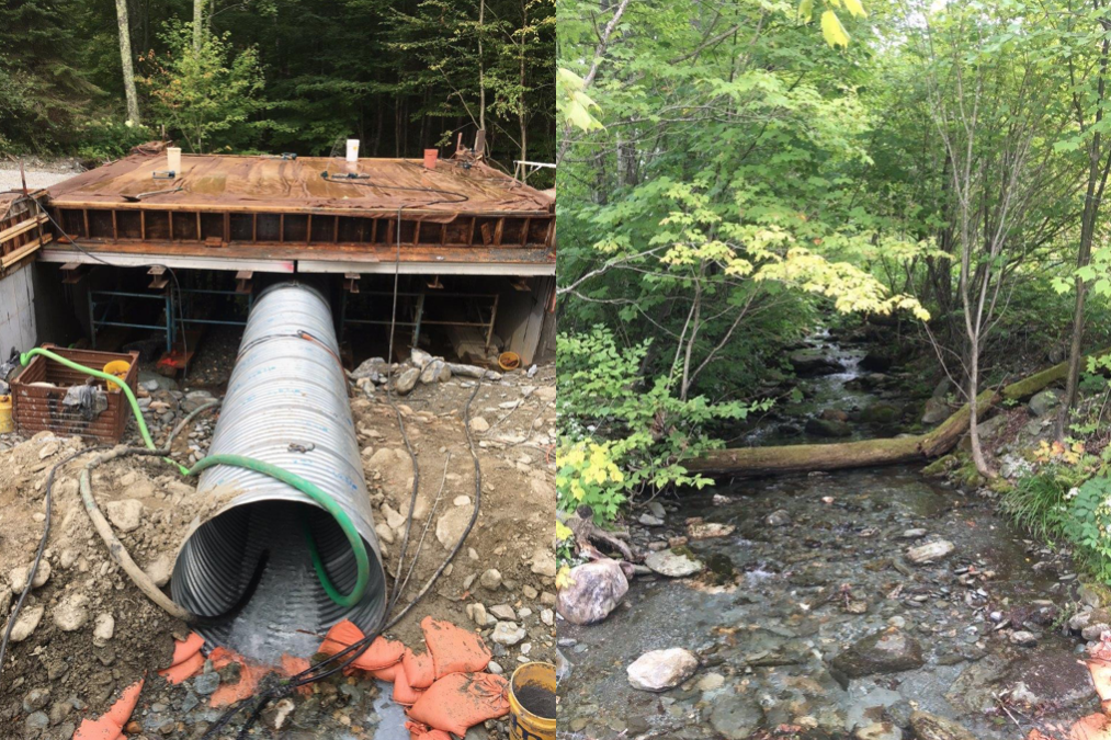 Project site and upstream into the national forest