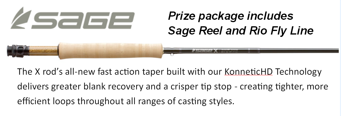 Sage X Fly Rod