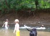 Swimming on the Little Cacapon