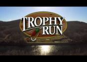 Trophy Run Scenic Overview (Drone Footage)