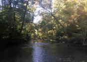 Codorus Creek