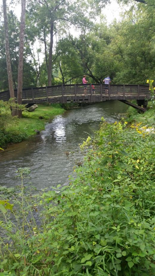 Codorus Creek