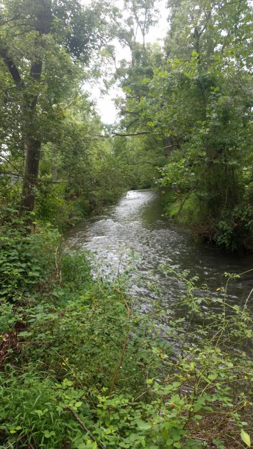 Codorus Creek