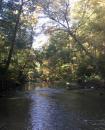 Codorus Creek